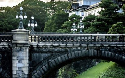 An 8 Factor Heath, Jarrow and Morton Model for the Japanese Government Bond Yield Curve, 1974 to 2016: The Impact of Negative Rates and Smoothing Issues
